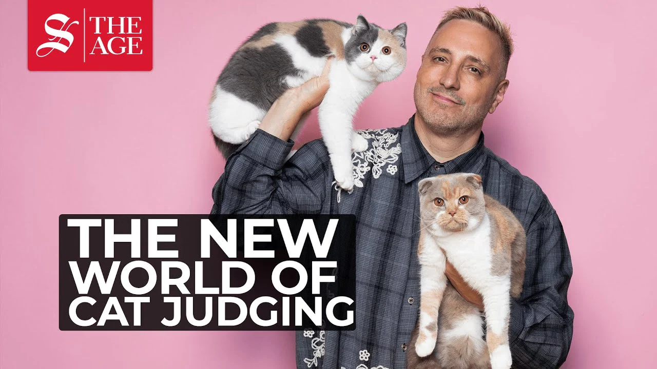 Unleash Your Inner Cat Lover