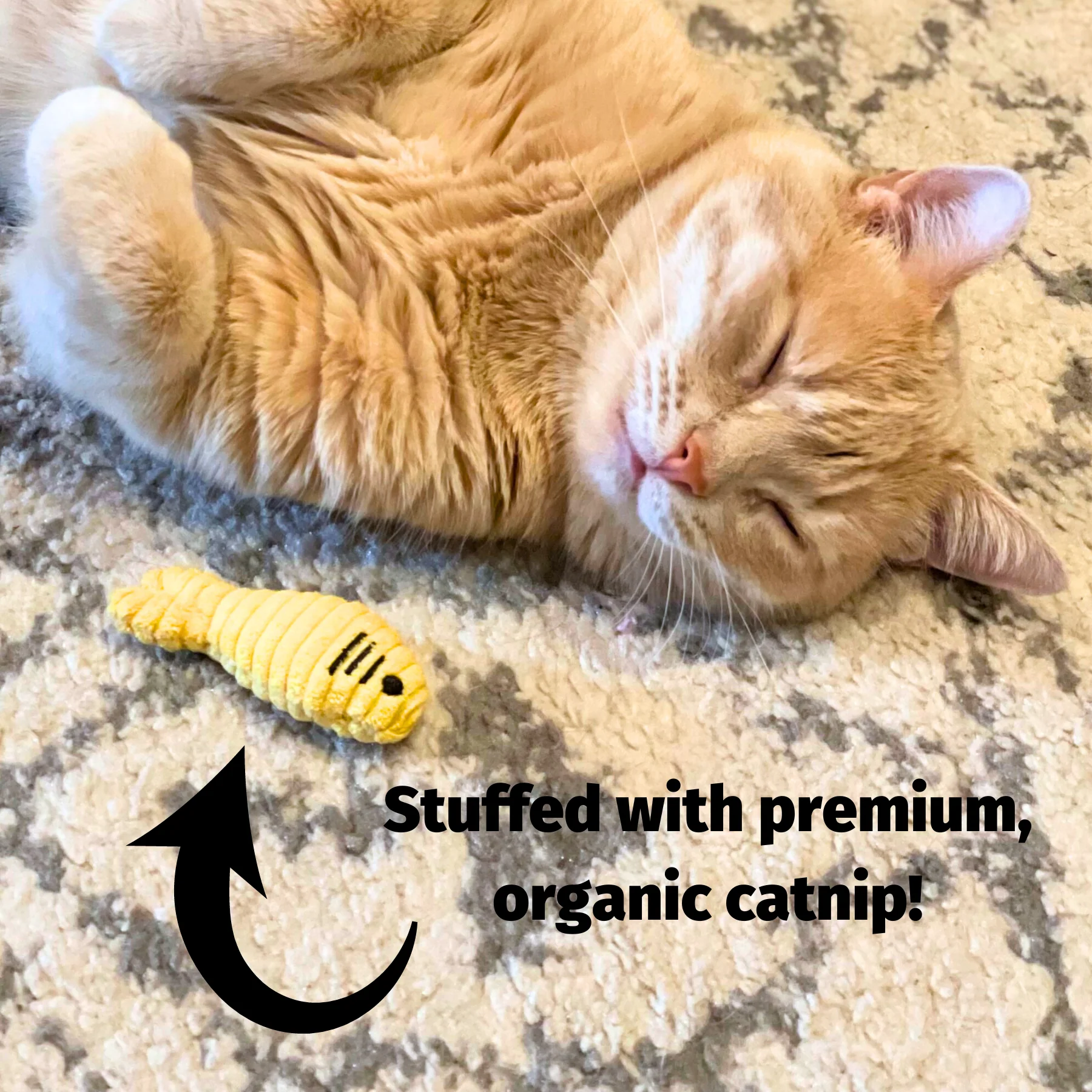 HuggleKatsÂź Wee Chippie and His Acorn Cat Toy Set - Image 11