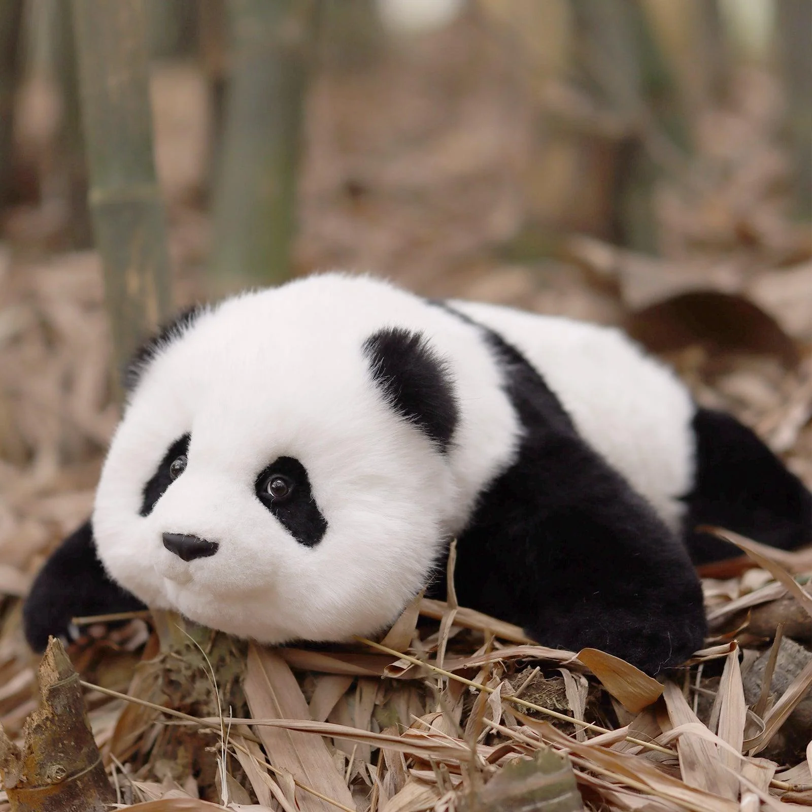 Menglan Panda Weighted – Ultra Realistic Collectible Toy - Image 6
