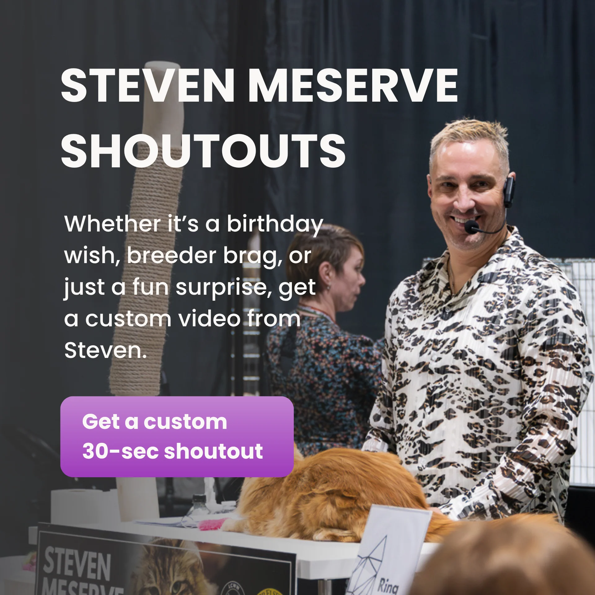 Hangout with Steven